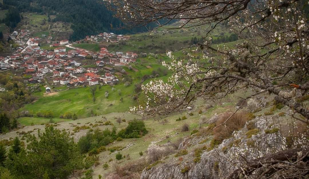 Вила Здравец Yagodina Exterior foto