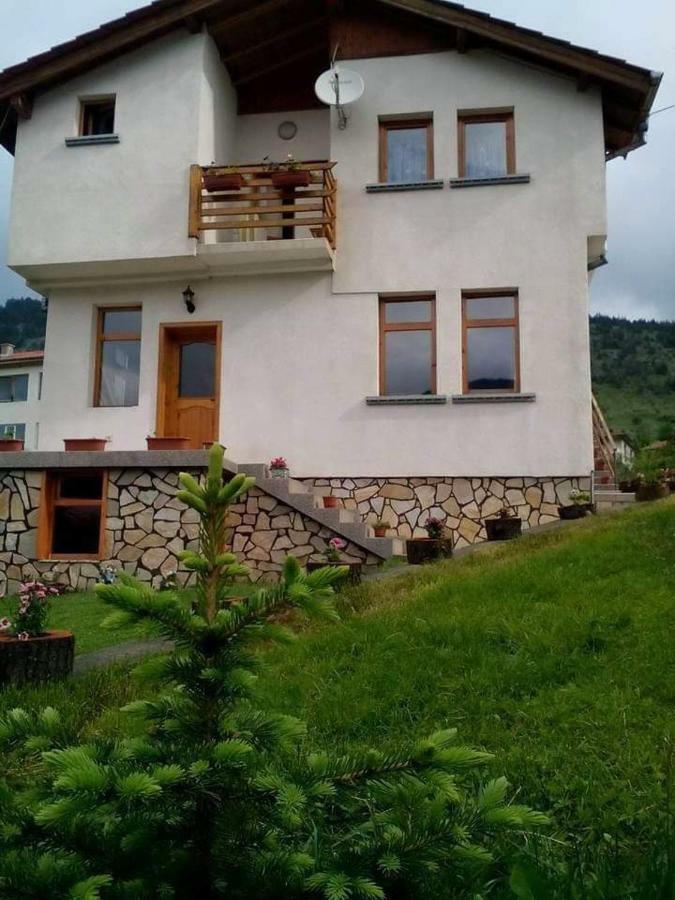 Вила Здравец Yagodina Exterior foto